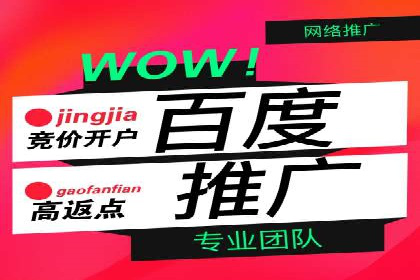 百度广告竞价策略详解：某电商平台的成功案例
